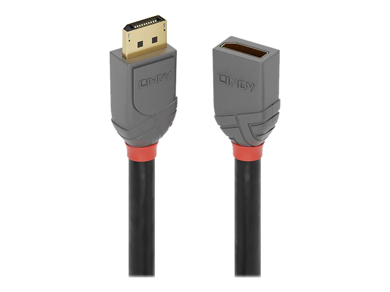 Lindy Anthra Line - DisplayPort-Verlängerungskabel - DisplayPort (M) zu DisplayPort (W) - DisplayPort 1.4 - 50 cm - rund, unterstützt 8K 60 Hz (7680 x 4320) - Schwarz