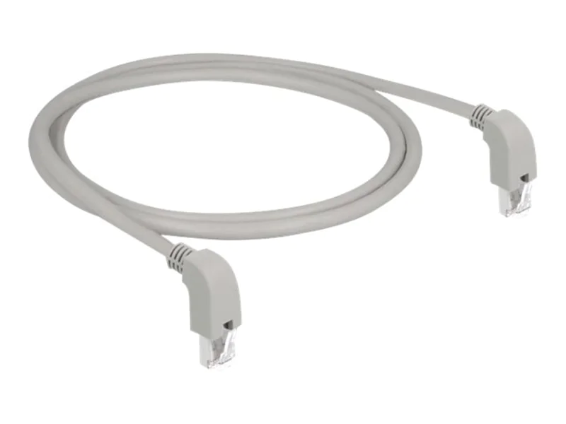 Delock - Patch-Kabel - RJ-45 (M) nach unten gewinkelt zu RJ-45 (M) nach unten gewinkelt - 1 m - S/FTP - CAT 6a - geschirmt, halogenfrei - Grau
