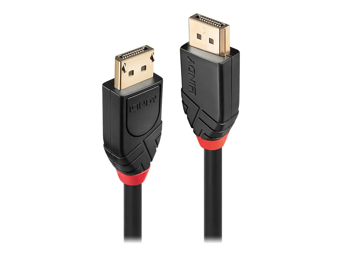 Lindy - DisplayPort-Kabel - DisplayPort (M) zu DisplayPort (M) - DisplayPort 1.2 - 20 m - rund, 4K Unterstützung, aktiv - Schwarz