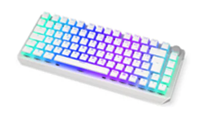 ENDORFY Keyboard Thock 75% Wireless
