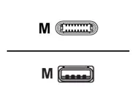 PARAT - Lightning-Kabel - USB (M) bis Lightning (M) - 40 cm - weiß - rund - für Apple iPad/iPhone/iPod (Lightning)