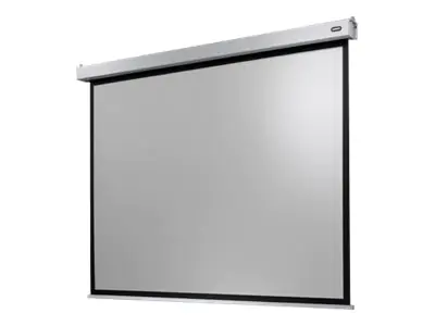 Celexon Electric Professional Plus Data format - Leinwand - Deckenmontage möglich, geeignet für Wandmontage - motorisiert - 230 V - 250 cm (98") - 4:3 - mattweiß - weiß