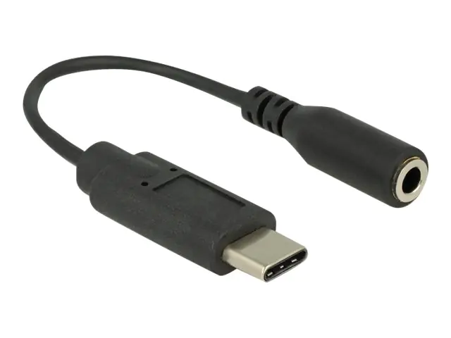 DeLOCK - Audio-Adapter - USB-C (M) bis Stereo Mini-Klinkenstecker (W) - USB 2.0 - 14 cm - Schwarz