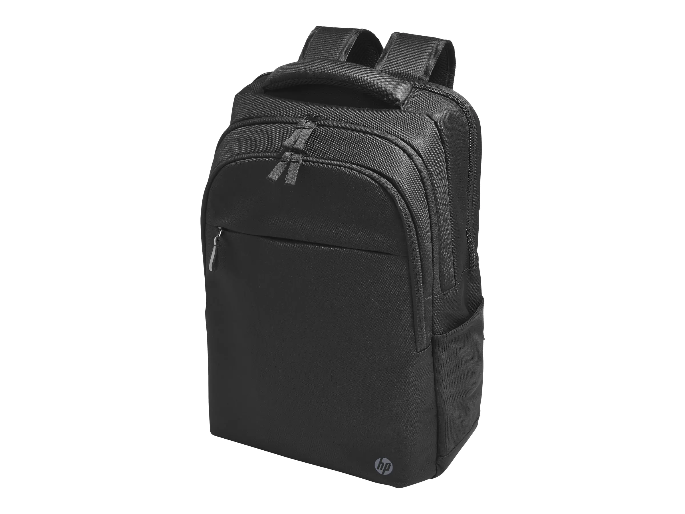 HP Professional - Notebook-Rucksack - 43.9 cm (17.3")