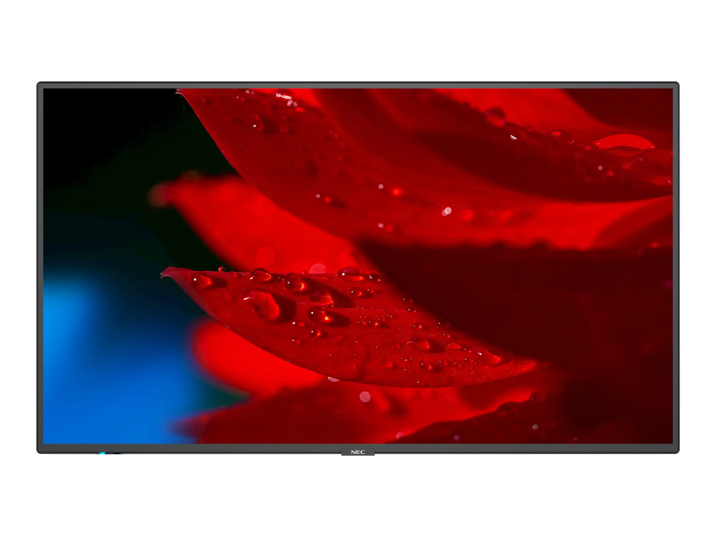 NEC MultiSync MA431 - 108 cm (43") Diagonalklasse MA Series LCD-Display mit LED-Hintergrundbeleuchtung - Digital Signage - 4K UHD (2160p) 3840 x 2160 - HDR - Edge-Beleuchtung - Schwarz