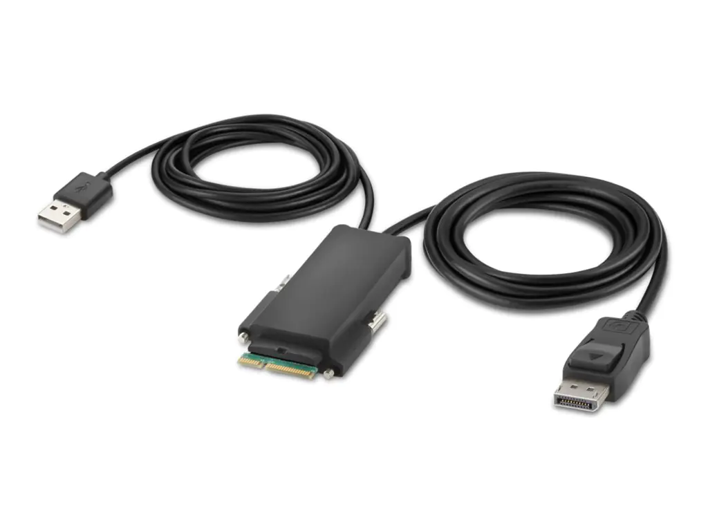 Belkin Modular Secure Single Head - KVM-Switch - 2 x KVM port(s) - 1 lokaler Benutzer - Desktop - TAA-konform