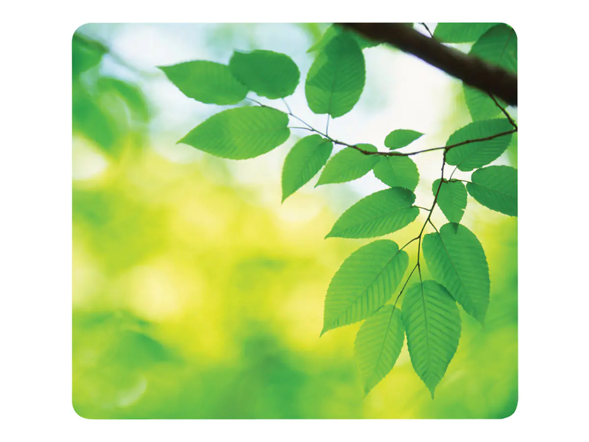 Fellowes Recycled Mouse Pad Leaves - Mauspad - Multicolor Fellowes Recycled Mouse Pad Leaves - Mauspad - Multicolor