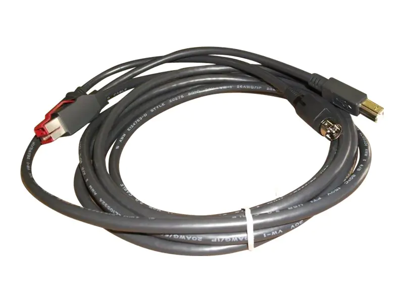 Epson - USB-Kabel - USB PlusPower (24 V) (M) zu USB Typ B (M) - 3.65 m - Schwarz
