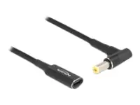 Delock - Adapter für Power Connector - USB-C (nur Spannung) (W) zu Gleichstromstecker 5,5 x 1,7 mm (M) gewinkelt - 19.5 V - 3 A - 15 m - Schwarz