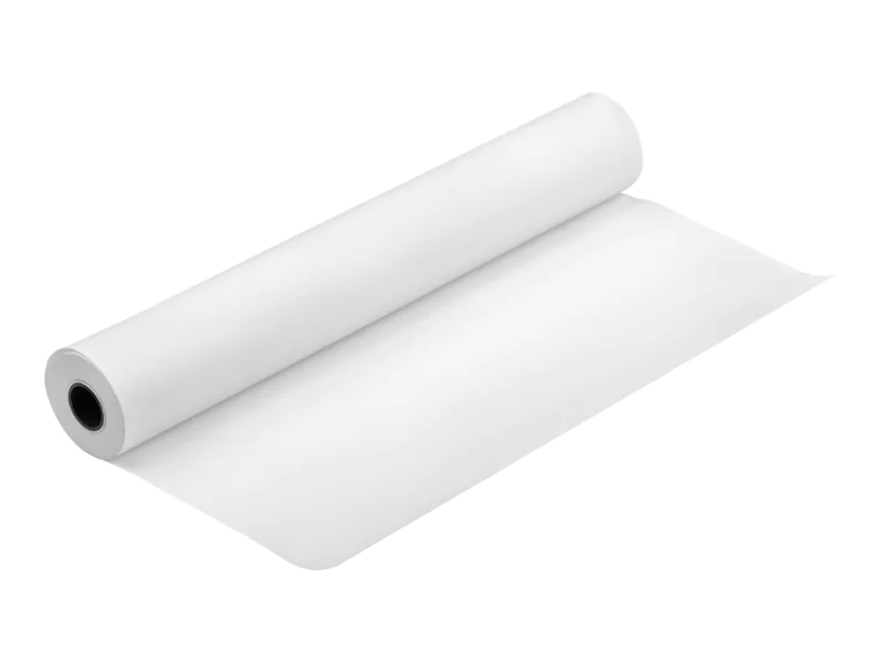 Epson Fotopapier glänzend - Rolle 91,4 cm x 30,5 m 250 g/m² - C13S041894