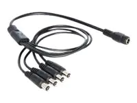 Delock - Netz-Splitter - Gleichstromstecker 5,5 x 2,1 mm (M) zu Gleichstromstecker 5,5 x 2,1 mm (W) - 50 cm