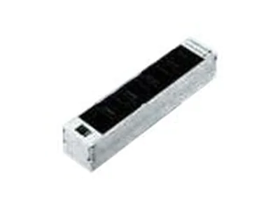 Rittal - Steckdosenleiste (Plug-In-Modul) - Ausgangsanschlüsse: 4 (IEC 60320 C19)
