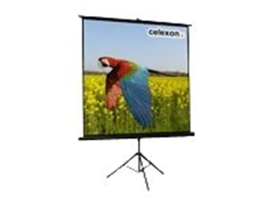 Celexon Economy tripod screen - Projektionsbildschirm mit Stativ - 345 cm (136") - 1:1