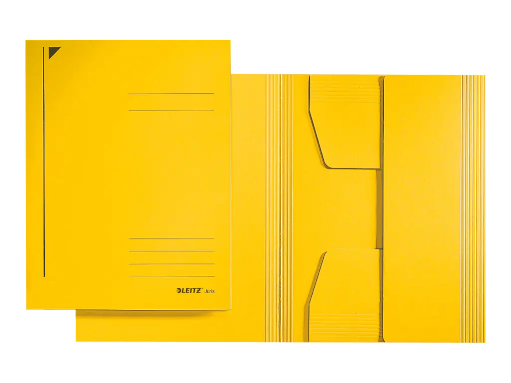 Esselte Leitz Aktenmappe mit 3 Klappen - für A4 (210 x 297 mm) 39240015