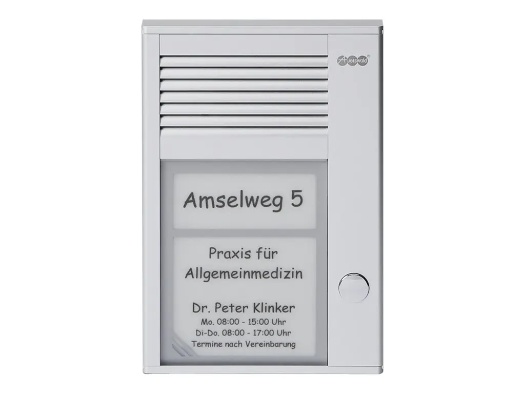 Auerswald TFS-Dialog 201 - Türsprechanlage - kabelgebunden - Natural Silver