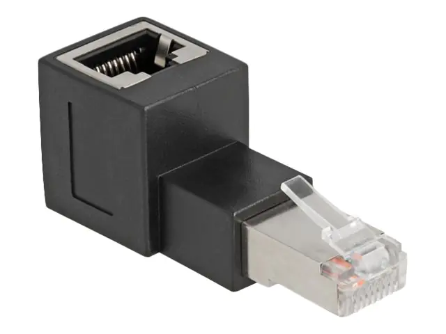 Delock - Netzwerkadapter - RJ-45 (W) gewinkelt zu RJ-45 (M) - CAT 6a
