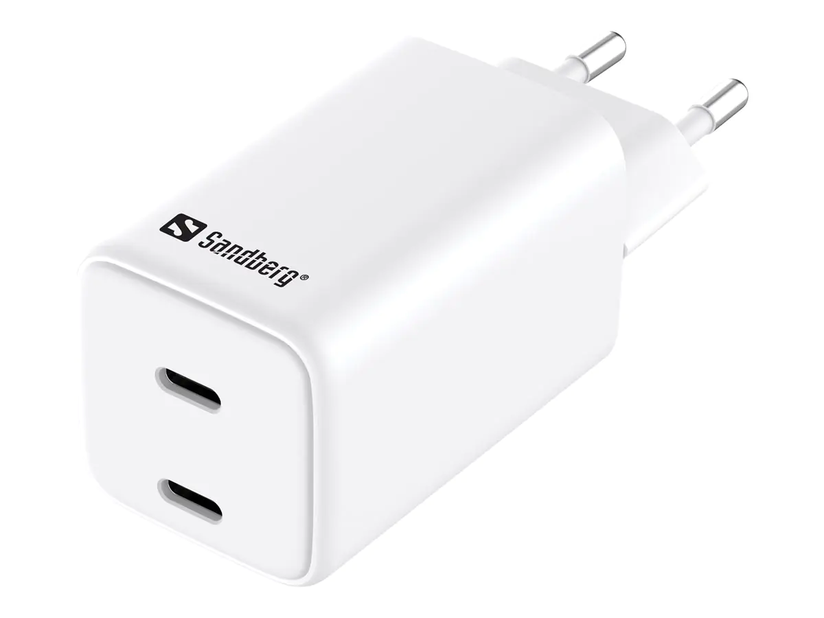 Sandberg - Netzteil - 65 Watt - 3.25 A - 2 Ausgabeanschlussstellen (24 pin USB-C) - Europa
