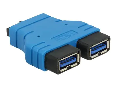 DeLOCK - Interner USB-Adapter - USB Typ A (W) bis 20-poliger USB 3.0 Kopf (W)