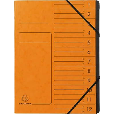 Exacompta 541204E, Project folder, A4, Karton, Orange, 355 g/m², Gummiband