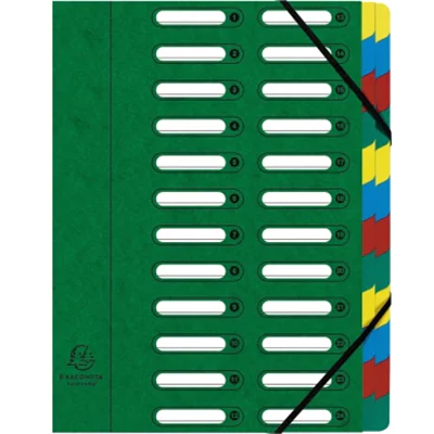Exacompta Ordnungsmappe Harmonika 55243E DIN A4 24Fächer grün