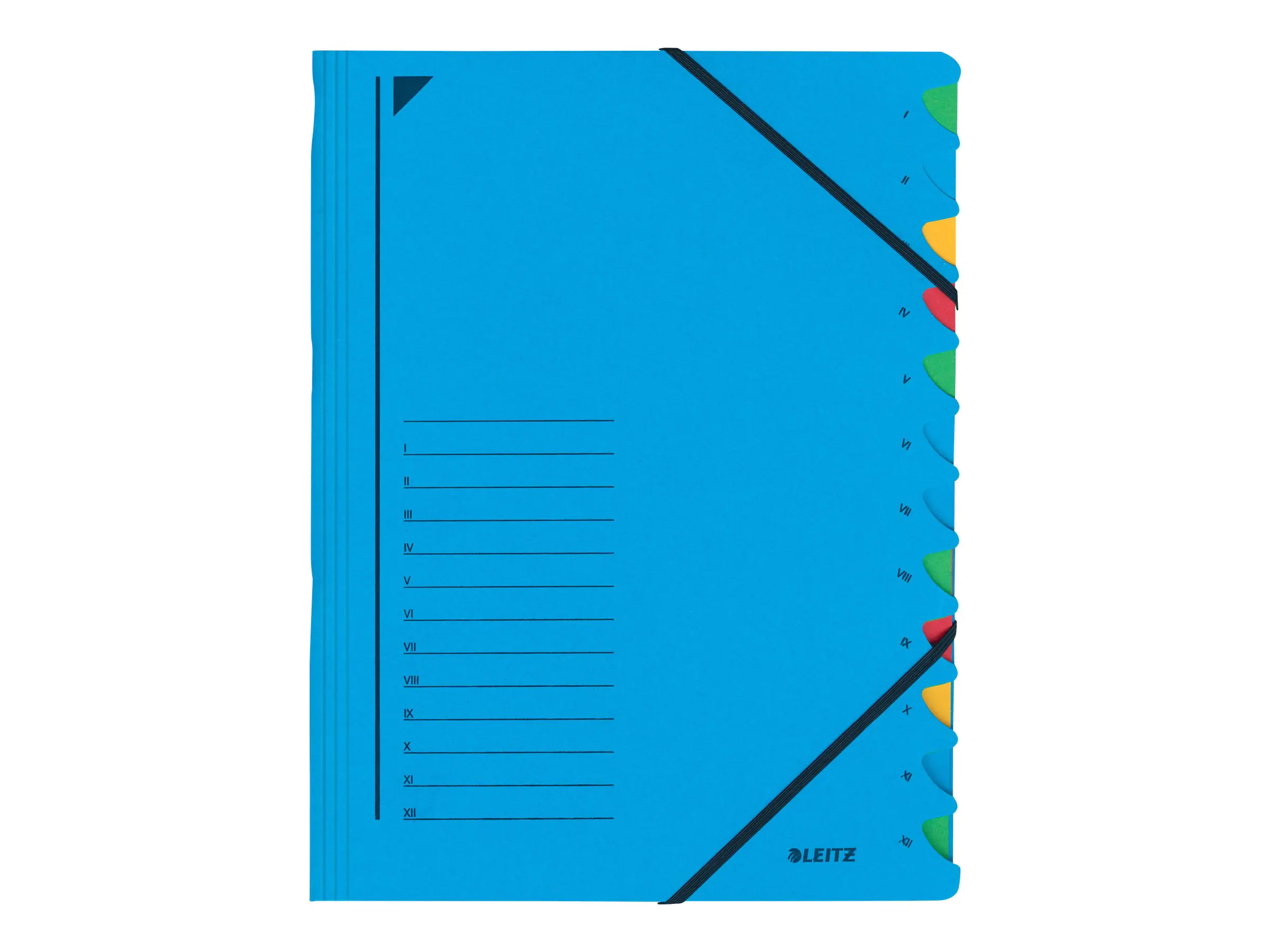 Esselte Leitz Trennelement - 12 Fächer - 12 Teile - vorgedruckt: I-XII - für A4 (210 x 297 mm) 39120035