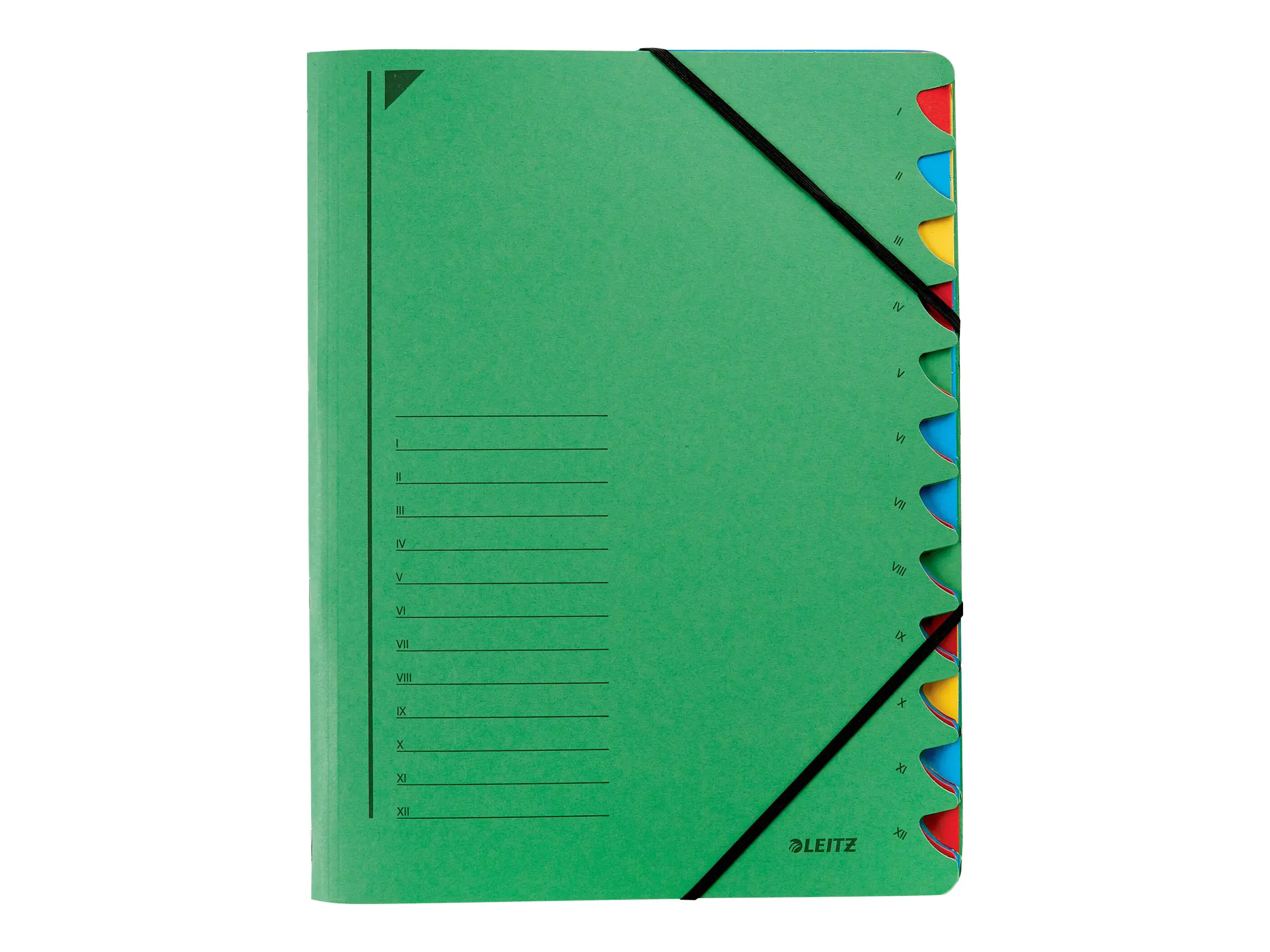 Esselte Leitz Trennelement - 12 Fächer - 12 Teile - vorgedruckt: I-XII - für A4 (210 x 297 mm) 39120055