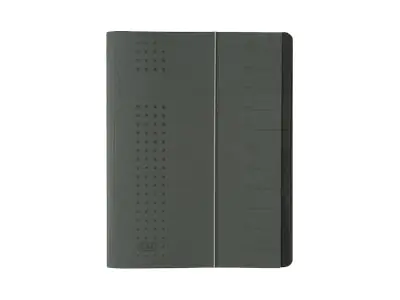 ELBA chic - Gliederungsordner - 12 Fächer - 12 Teile - für A4 (210 x 297 mm) 400001032