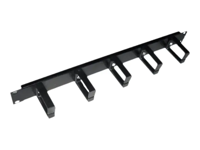 DEXLAN Kabelführungsplatte für Schaltschrank - Schwarz - 1U - 48.3 cm (19")