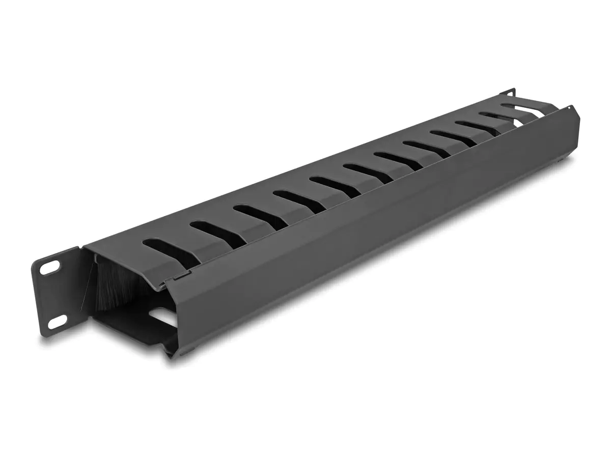 Delock Verlegetafel für Rack-Kabelmanagement - mit Bürste, 2 Öffnungen - Schwarz - 1U - 48.3 cm (