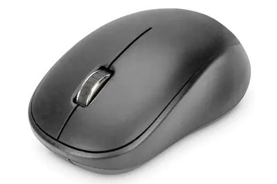 DIGITUS DA-20161 - Maus - ergonomisch - optisch - 6 Tasten - kabellos - kabelloser Empfänger (USB) - Schwarz