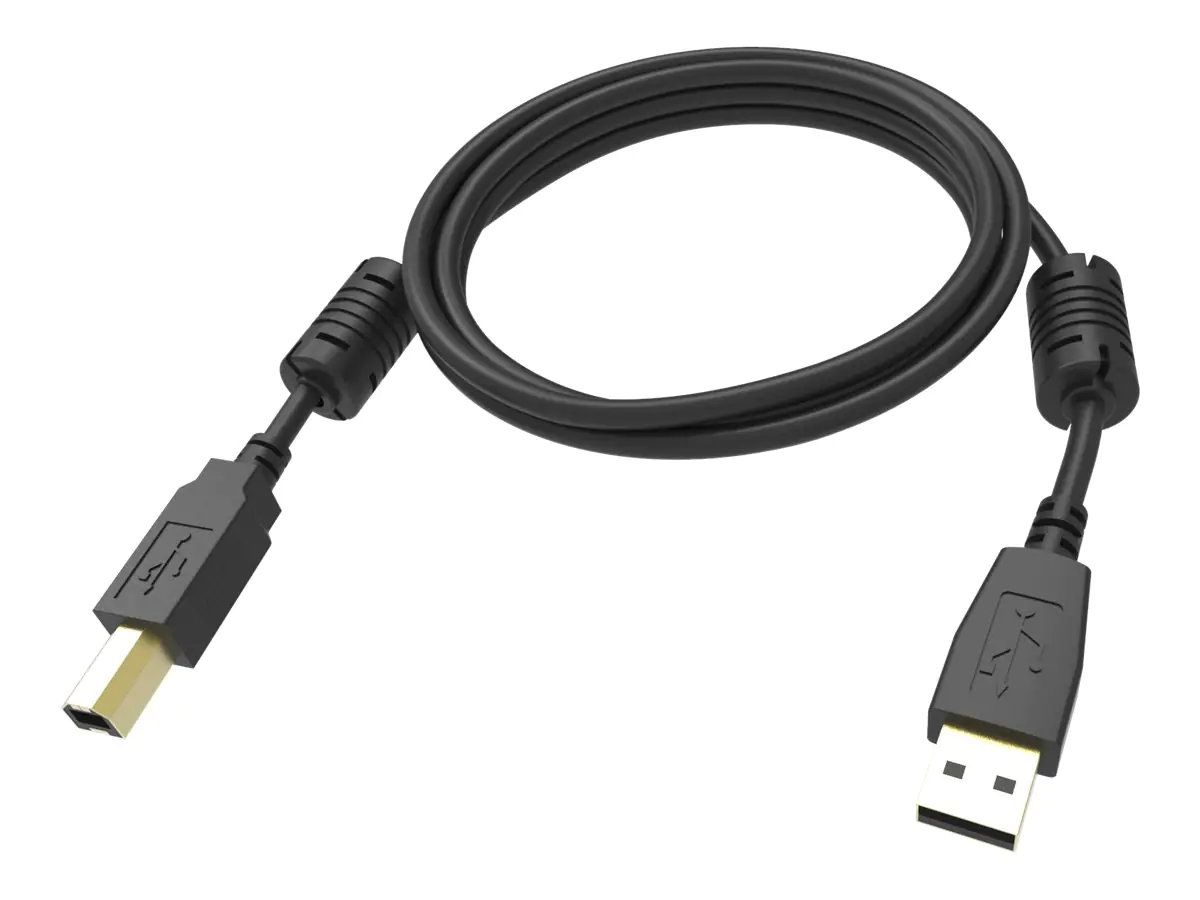 Vision Professional - USB-Kabel - USB (M) zu USB Typ B (M) - USB 2.0 - 2 m - Schwarz