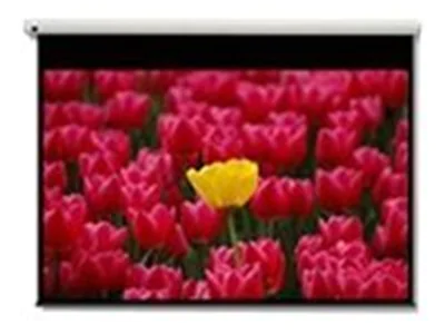 Optoma Panoview DE-9120EGA - Leinwand - motorisiert - 305 cm (120") - 16:9 - Matte White - für Optoma H117ST, H185X, H190X, HD28B, HZ40STx, UHD35, UHD35x, UHD38