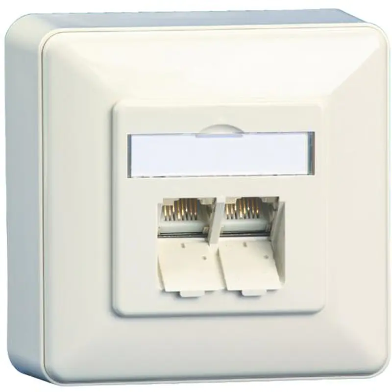 BTR IT CONNECT E-DAT C6 8/8(8) AP Cat.6 - Wanddose - CAT 6 - RJ-45 X 2 - Pure White, RAL 9010