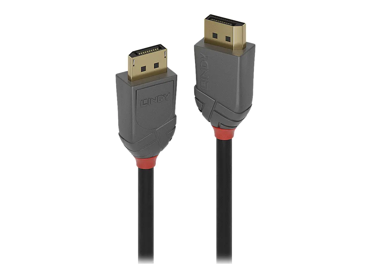 Lindy Anthra Line - DisplayPort-Kabel - DisplayPort (M) zu DisplayPort (M) - DisplayPort 1.2 - 10 m - rund, 4K Unterstützung - Schwarz