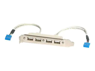 StarTech 4 Port USB 2.0 Buchse Slotblech Adapter mit 2x 10-Pin Mainboard Header - USB-Konsole - USB (W) zu 9-polig IDC (W)
